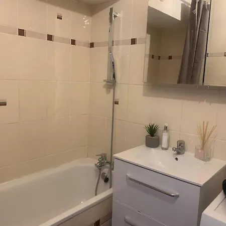 Proche Geneve 50m2 Et Terrasse 20m2