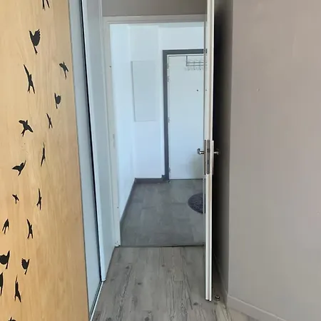 Proche Geneve 50m2 Et Terrasse 20m2